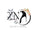Noor_e_Hijab27 - Home