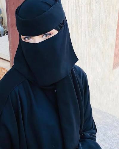 Saudi Naqab